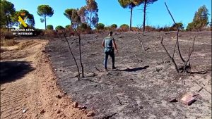 Investigan a una persona por el incendio forestal de Beas