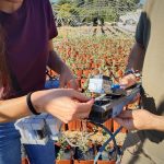 La Diputación y la Universidad de Huelva ensayan especies y tratamientos para mejorar la resistencia de encinas y alcornoques a la seca y a la sequía